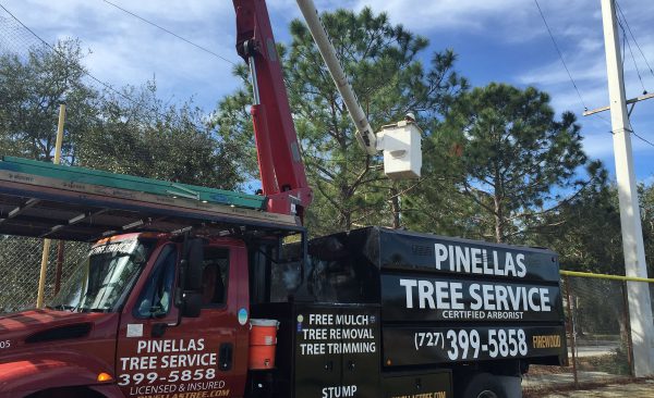 Pinellas Tree Service Bucket Truck