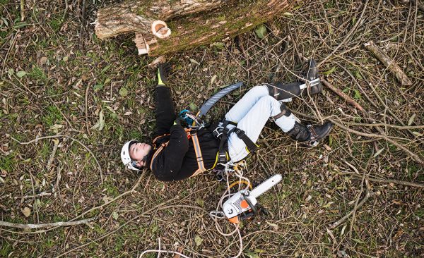How A Tree Service Company Can Put You At Risk